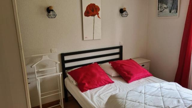 Les Ecureuils Au Sein D'une Propriete Arboree
